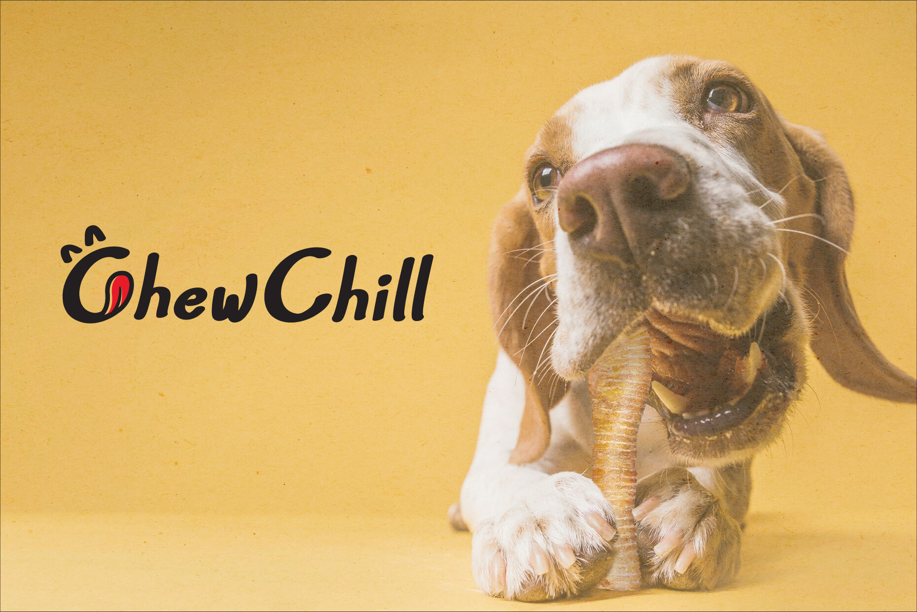 Portfolio Branding ChewChill-01