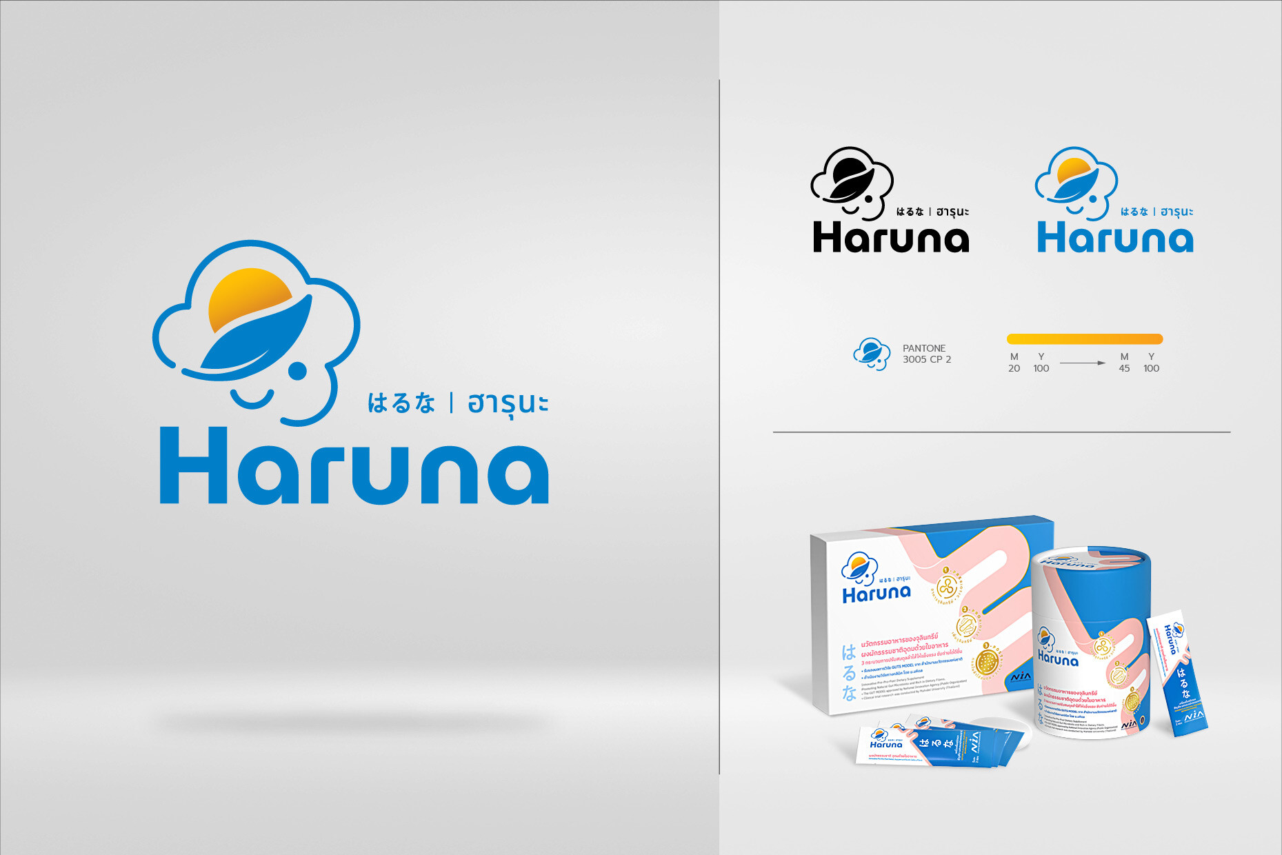 Haruna-Portfolio-01